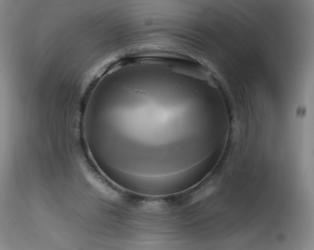 X0000112970446200908271146