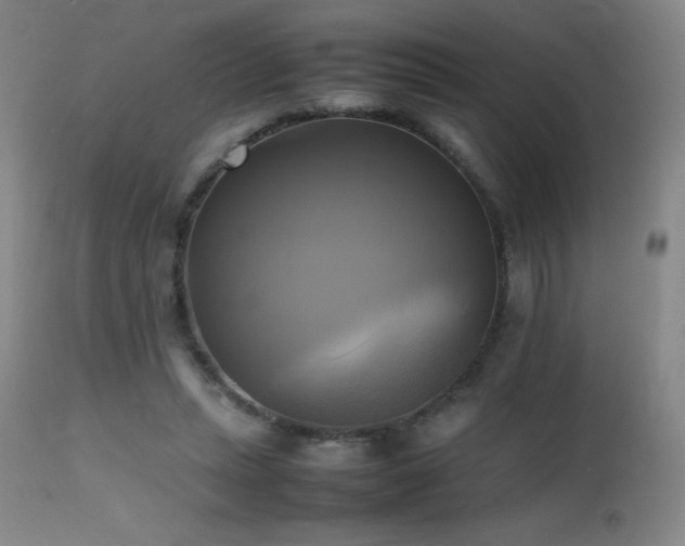 X0000112970447200908271146