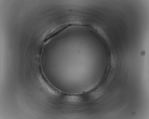 X0000112970449200908271146