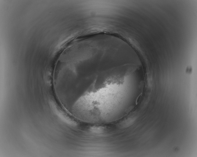 X0000112970450200908271146