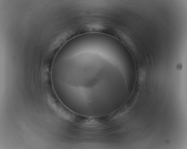 X0000112970451200908271146