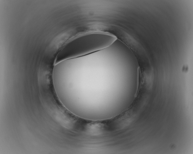 X0000112970452200908271146