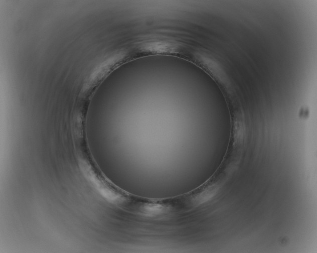 X0000112970453200908271146