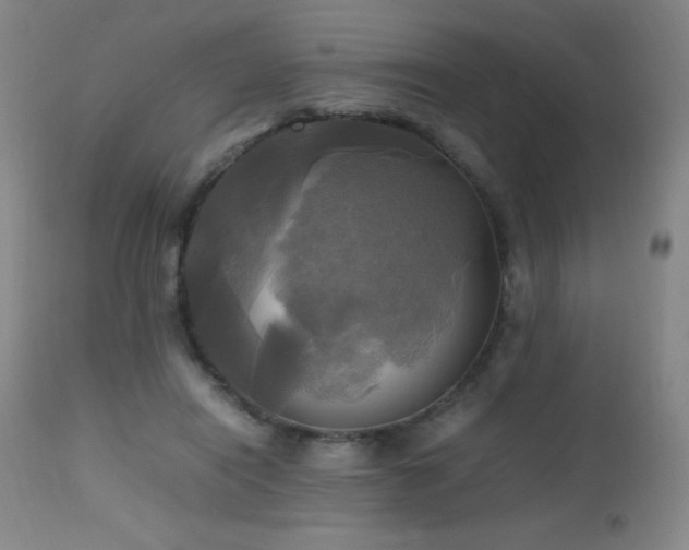 X0000112970454200908271146