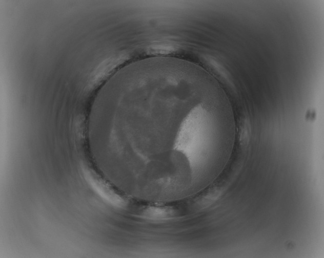 X0000112970455200908271146