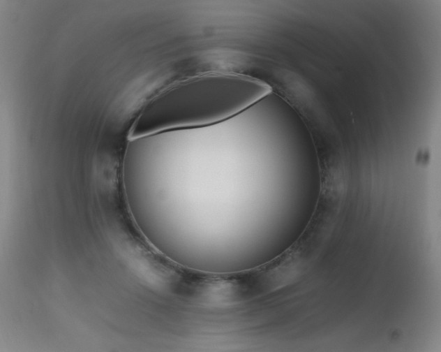 X0000112970456200908271146