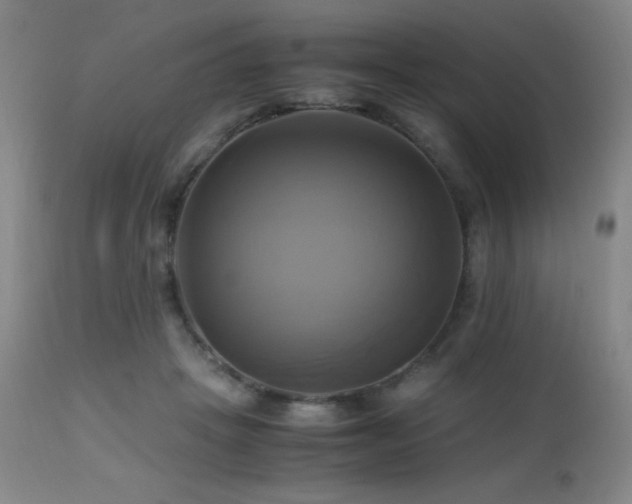 X0000112970457200908271146