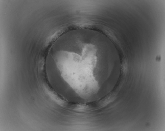 X0000112970458200908271146