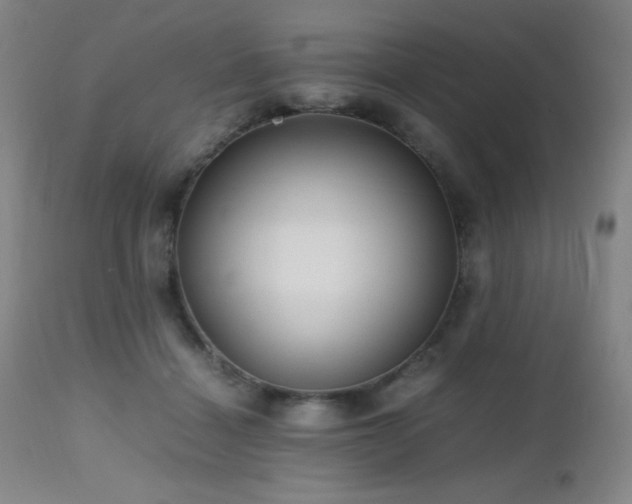 X0000112970460200908271146