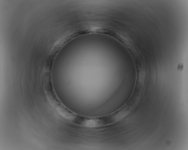 X0000112970461200908271146