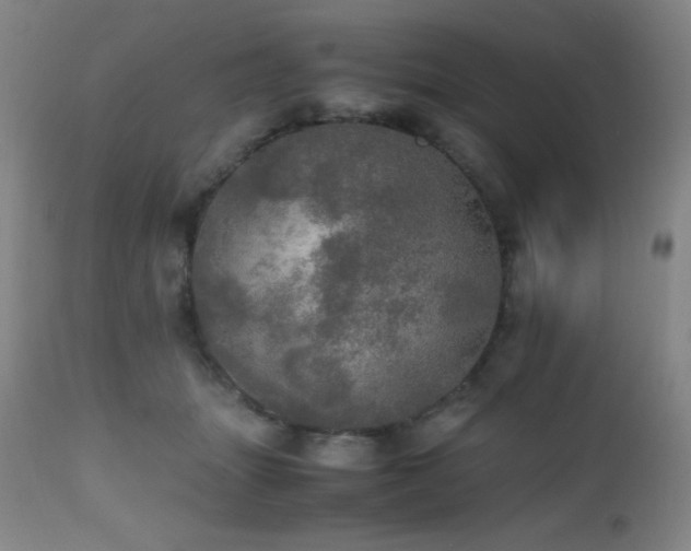 X0000112970463200908271146