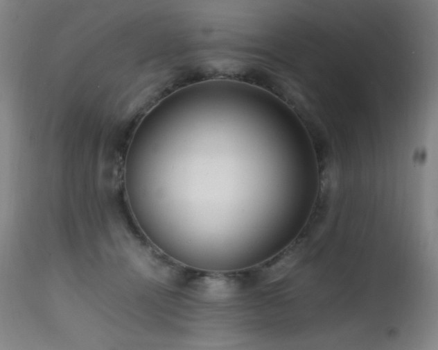 X0000112970464200908271146