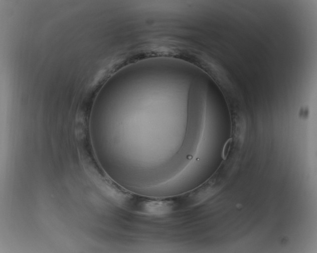 X0000112970465200908271146