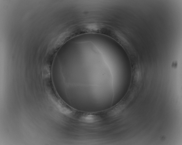 X0000112970467200908271146