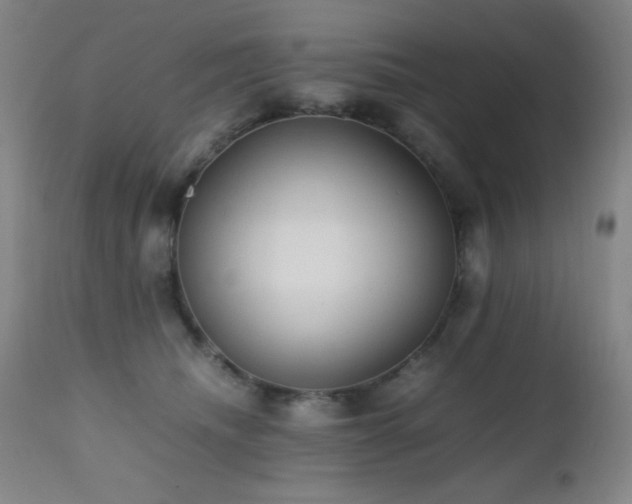 X0000112970468200908271146