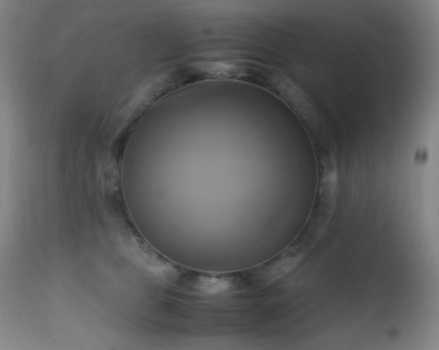 X0000112970469200908271146