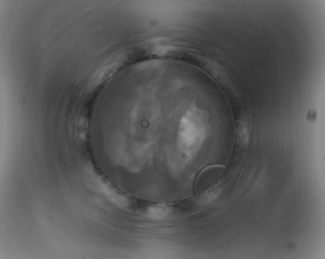 X0000112970470200908271146