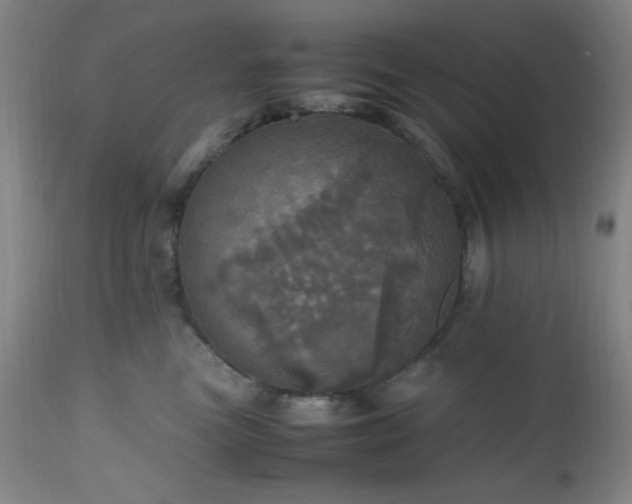 X0000112970473200908271146