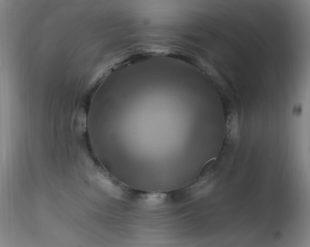 X0000112970474200908271146