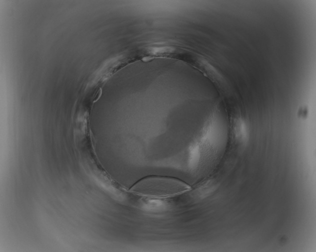 X0000112970475200908271146