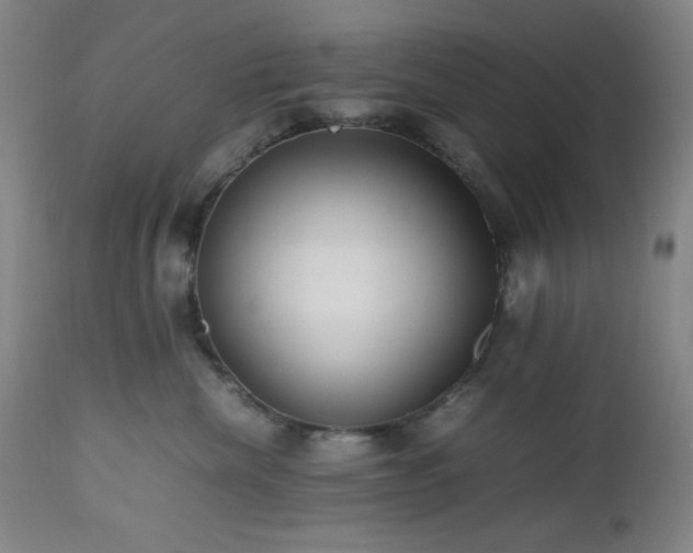 X0000112970476200908271146