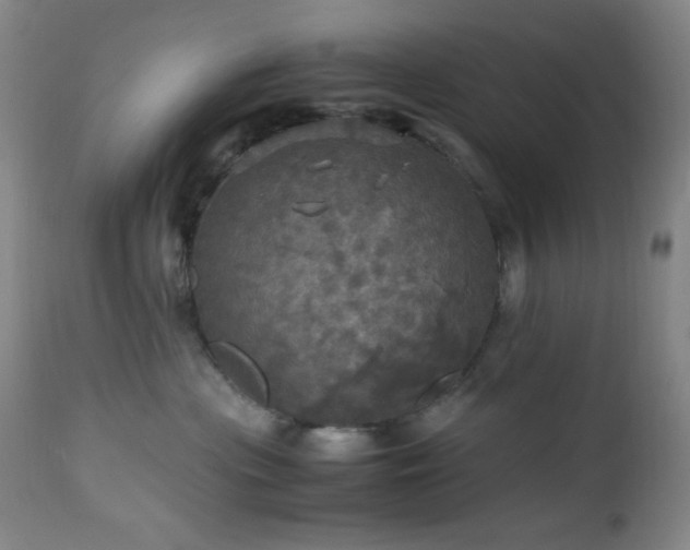 X0000112970477200908271146