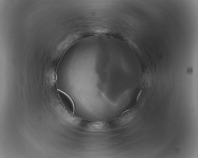 X0000112970479200908271146