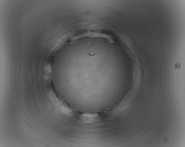 X0000112970480200908271146