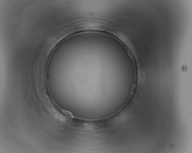 X0000112970481200908271146