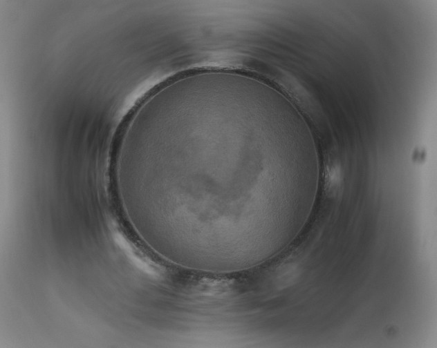 X0000112970484200908271146