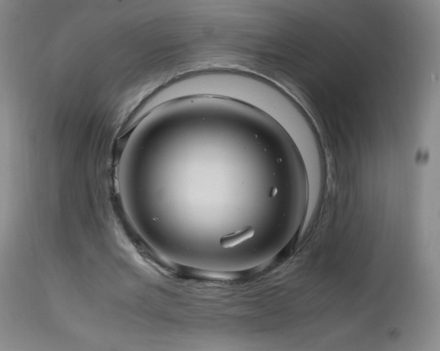 X0000112970485200908271146