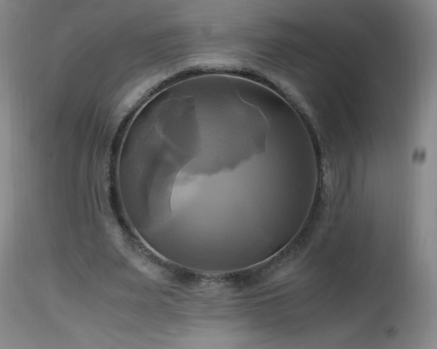 X0000112970487200908271146