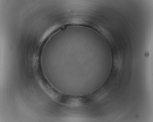 X0000112970488200908271146