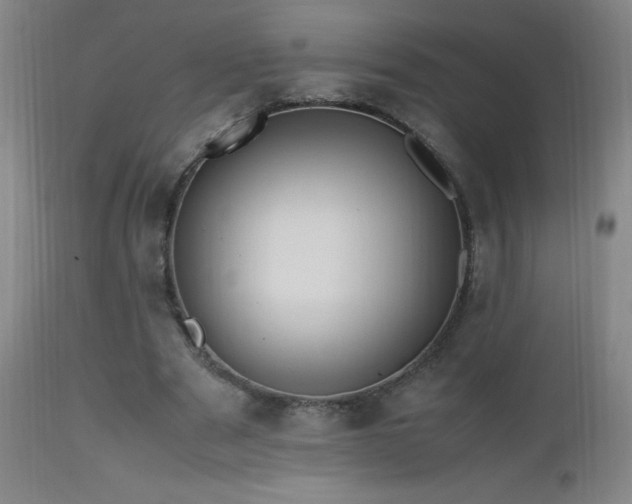 X0000112970489200908271146