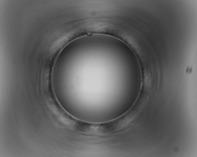 X0000112970493200908271145