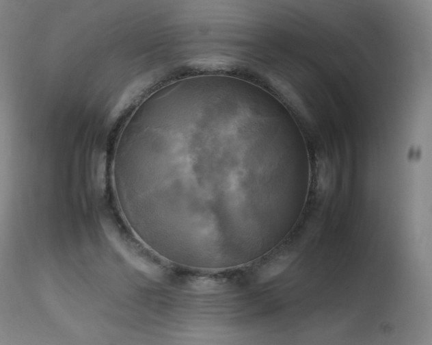 X0000112970494200908271145