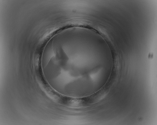 X0000112970495200908271145