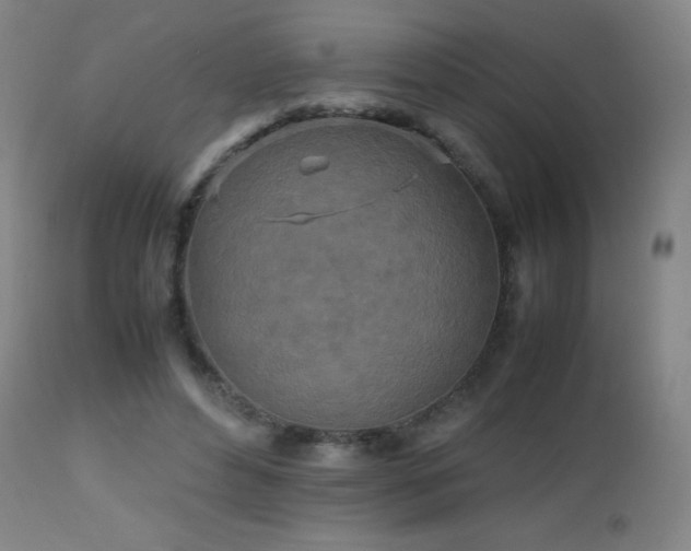 X0000112970496200908271145