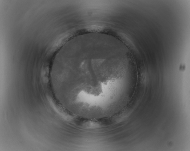 X0000112970498200908271145