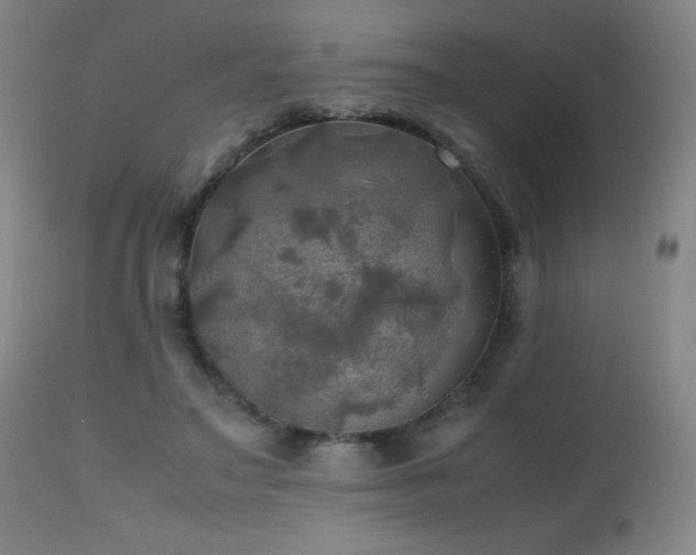 X0000112970499200908271145