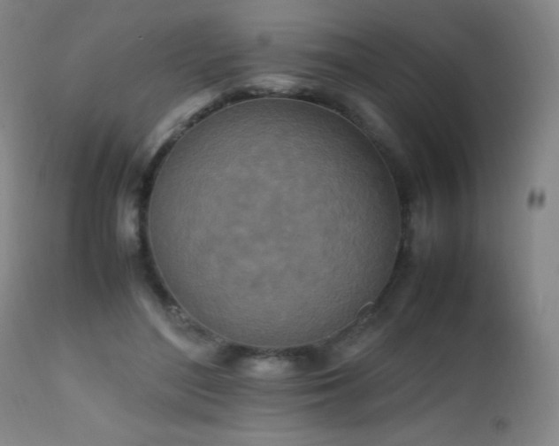 X0000112970500200908271145