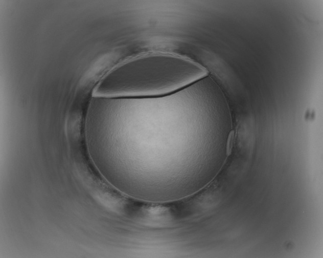 X0000112970501200908271145