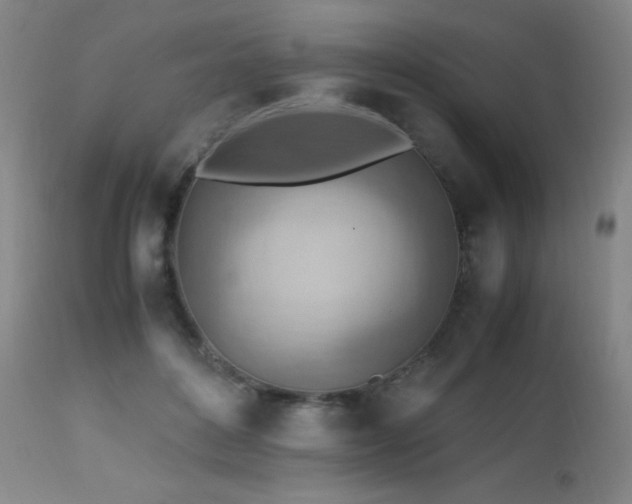 X0000112970504200908271145