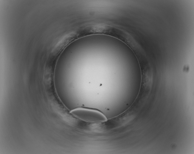 X0000112970505200908271145