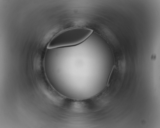 X0000112970508200908271145