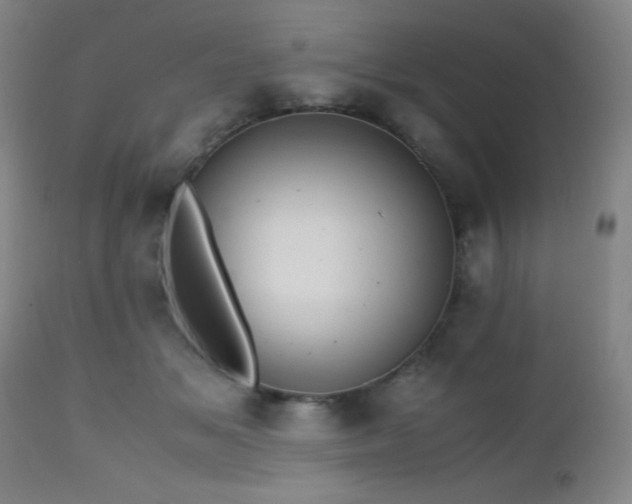 X0000112970509200908271145