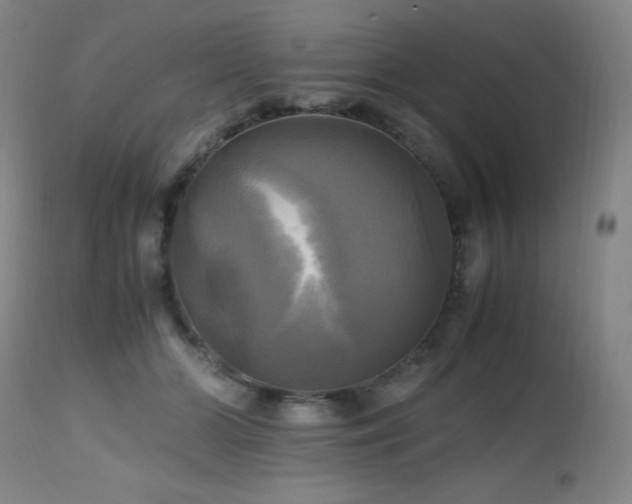 X0000112970510200908271145