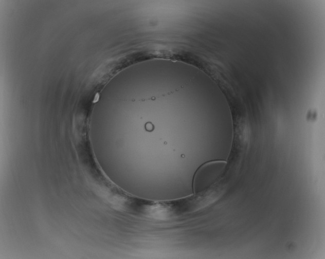 X0000112970511200908271145