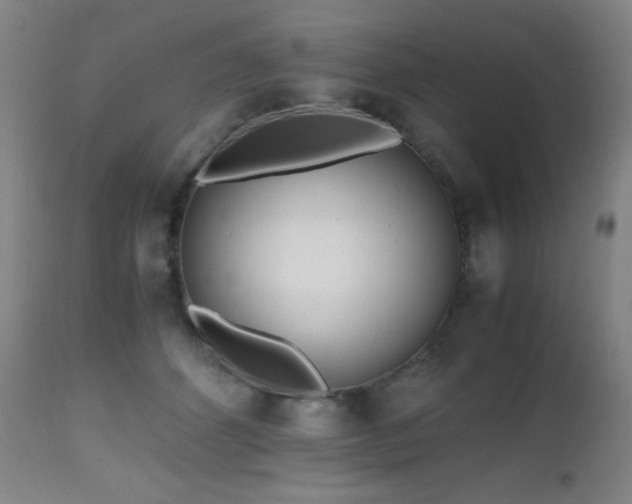 X0000112970512200908271145