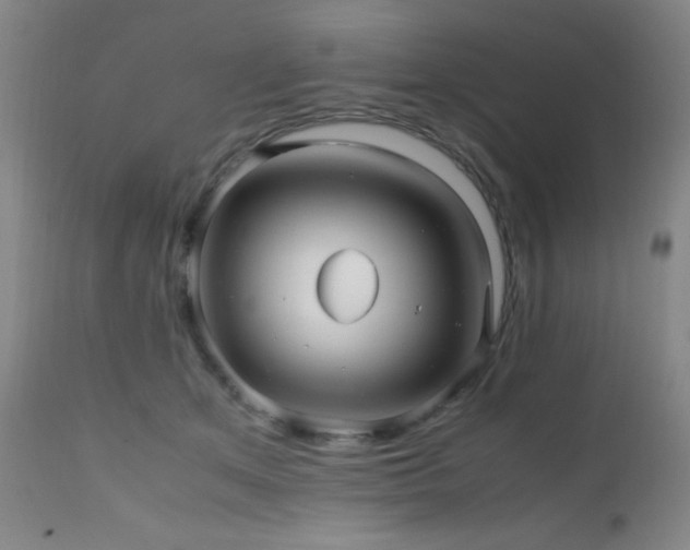 X0000112970513200908271145